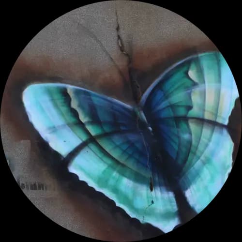 Papillon